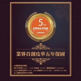 【新品上市】mini 玩美椅 Pro 按摩沙發按摩椅 TC-297(皮革五年保固)